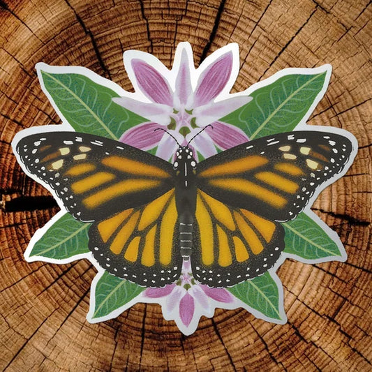 Adhesivos pvc (opaco y brillante),valores por metro cuadrado.